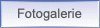 Fotogalerie